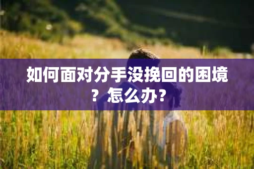 如何面对分手没挽回的困境？怎么办？
