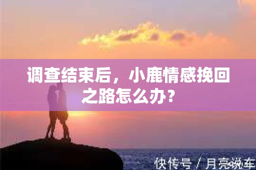 调查结束后，小鹿情感挽回之路怎么办？