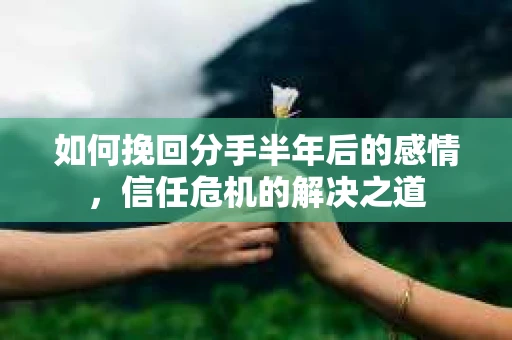 如何挽回分手半年后的感情，信任危机的解决之道