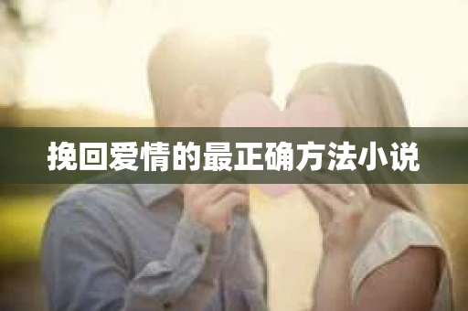 挽回爱情的最正确方法小说