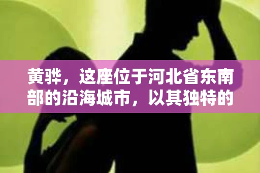 黄骅，这座位于河北省东南部的沿海城市，以其独特的地理位置和丰富的历史文化而闻名。然而，在这座城市中，还有一群人，他们以另一种方式默默守护着社会的公平与正义——私家侦探。今天，我们就来聊聊黄骅的私家侦探，看看他们是如何在这个城市中发挥作用的。