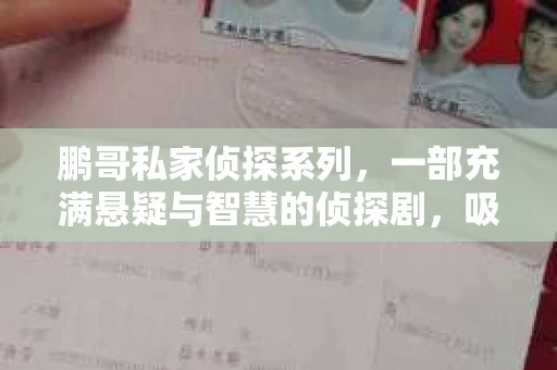 鹏哥私家侦探系列，一部充满悬疑与智慧的侦探剧，吸引了无数观众的眼球。今天，就让我带你走进这个充满神秘色彩的侦探世界，一起在线观看鹏哥私家侦探系列，感受那扣人心弦的故事情节。