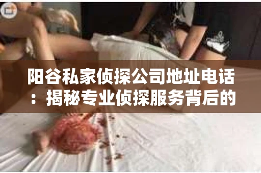 阳谷私家侦探公司地址电话：揭秘专业侦探服务背后的故事