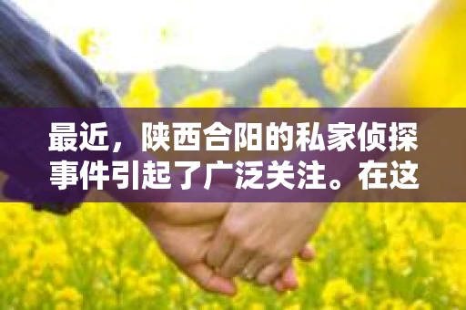 最近，陕西合阳的私家侦探事件引起了广泛关注。在这个信息爆炸的时代，隐私保护显得尤为重要。今天，我们就来聊聊这个事件，看看它背后的一些故事。