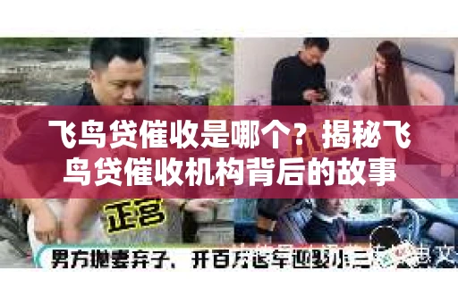 飞鸟贷催收是哪个？揭秘飞鸟贷催收机构背后的故事