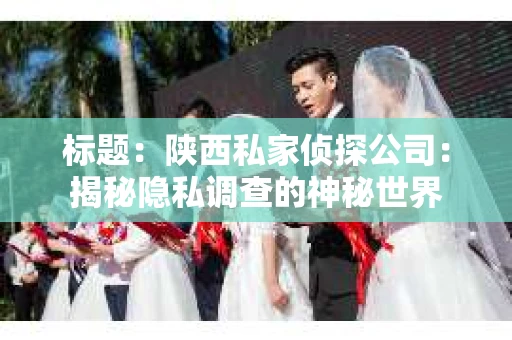 标题：陕西私家侦探公司：揭秘隐私调查的神秘世界
