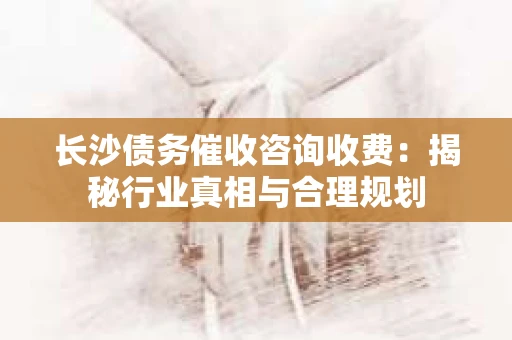 长沙债务催收咨询收费：揭秘行业真相与合理规划