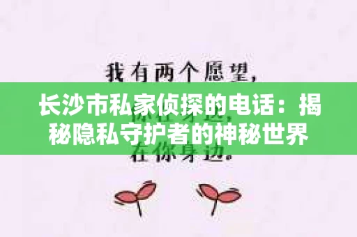 长沙市私家侦探的电话：揭秘隐私守护者的神秘世界