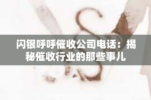 闪银呼呼催收公司电话：揭秘催收行业的那些事儿
