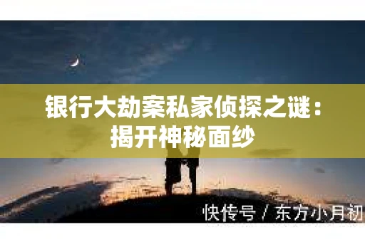 银行大劫案私家侦探之谜：揭开神秘面纱