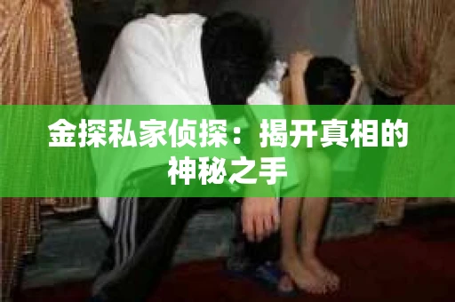 金探私家侦探：揭开真相的神秘之手