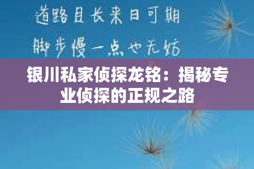 银川私家侦探龙铭：揭秘专业侦探的正规之路