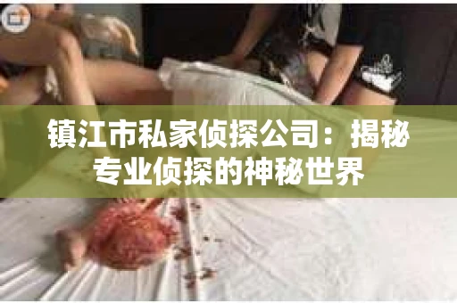 镇江市私家侦探公司：揭秘专业侦探的神秘世界
