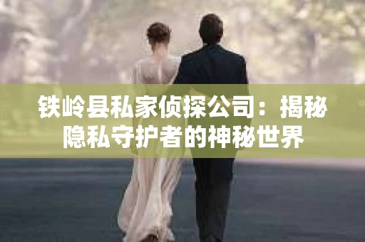 铁岭县私家侦探公司：揭秘隐私守护者的神秘世界
