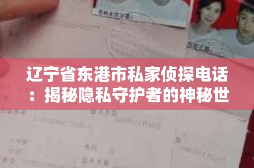 辽宁省东港市私家侦探电话：揭秘隐私守护者的神秘世界