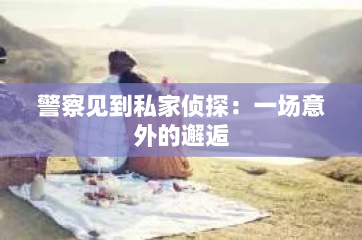 警察见到私家侦探：一场意外的邂逅