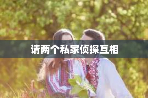 请两个私家侦探互相