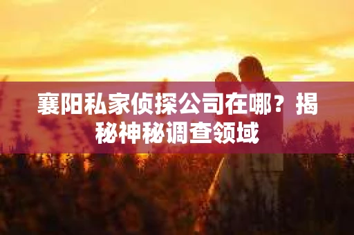 襄阳私家侦探公司在哪？揭秘神秘调查领域