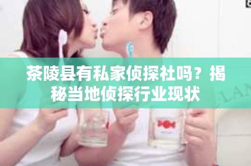 茶陵县有私家侦探社吗？揭秘当地侦探行业现状