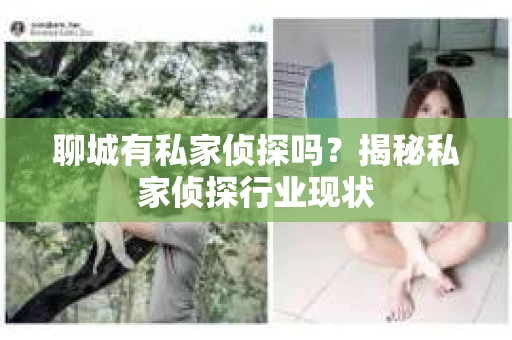 聊城有私家侦探吗？揭秘私家侦探行业现状