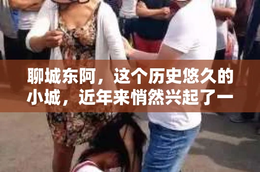 聊城东阿，这个历史悠久的小城，近年来悄然兴起了一股新的服务潮流——私家侦探。今天，我们就来聊聊这个话题，看看在聊城东阿，私家侦探是如何成为人们生活中的一部分的。