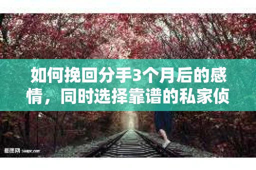 如何挽回分手3个月后的感情，同时选择靠谱的私家侦探社？