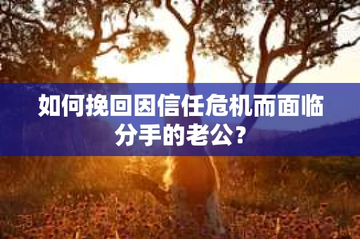 如何挽回因信任危机而面临分手的老公？