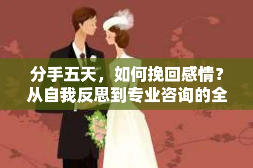 分手五天，如何挽回感情？从自我反思到专业咨询的全面解决方案