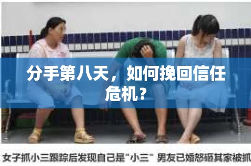 分手第八天，如何挽回信任危机？