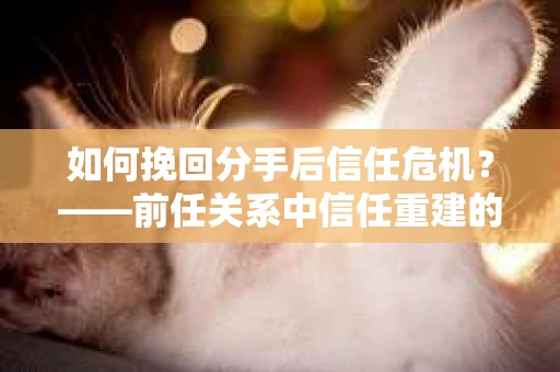 如何挽回分手后信任危机？——前任关系中信任重建的实用指南